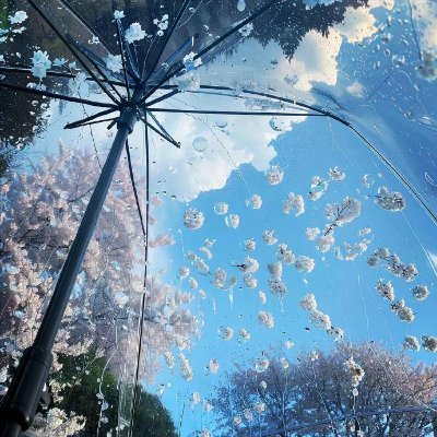 asdplmmm's profile picture. 今持っているすべてを大切にして、ずっと勉強して進歩する心を保ちます。