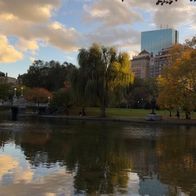 letsliveluke's profile picture. 