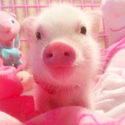 zsaelmmm's profile picture. 旅は世界を細かく見せてくれて、投資は日常をもう一度組み立てる感覚がある。香りを楽しみながら、次の一歩をゆっくり考えるのが好き。