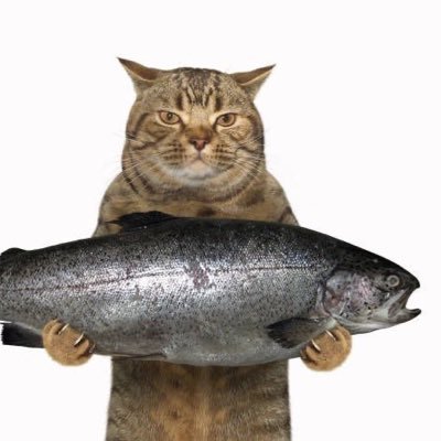 unhealthydinner's profile picture. bruxomanie vie misérable