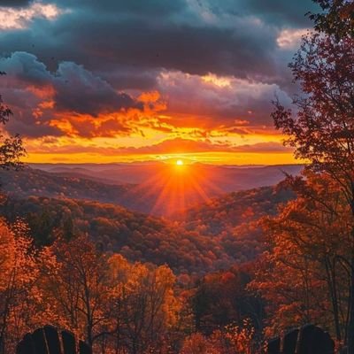 gulahmadkh's profile picture. 