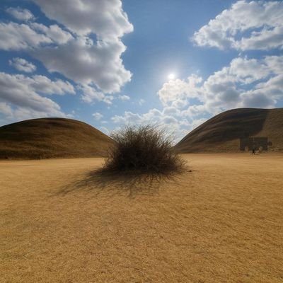 Win207829's profile picture. See you