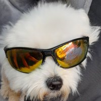 Philippdome (@philippdome) 's Twitter Profile Photo