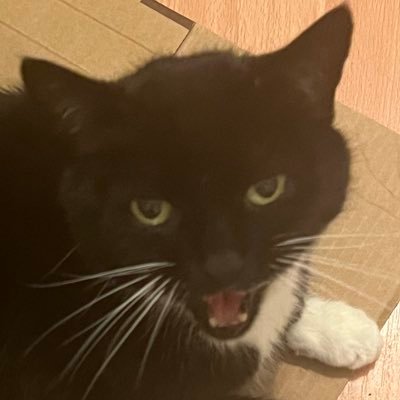 Abbi_Rs's profile picture. namaste