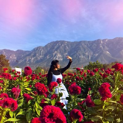 MusicLuvPeace4's profile picture. HELLO WORLD!! 💜I AM ARMY 💜 
여러분 안녕하십니까!! 💜나는아미!!! 💜
There's beauty behind the madness!
보라합니다 방탄소년단 💜💜
All the love :3
#BTSARMY
Pd. I ALWAYS FOLLOW BACK 💜