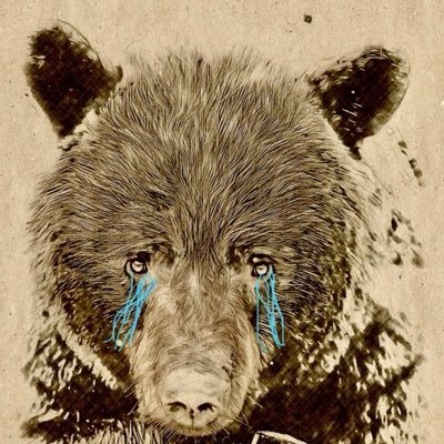 saddBeareyes's profile picture. 