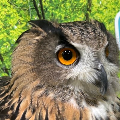 shukatsufightda's profile picture. 28卒就活生 東京一科院進学予定 金融マーケット関連職志望