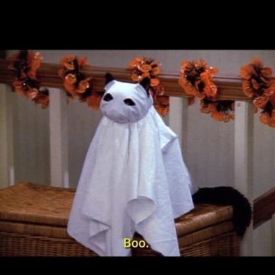 EliSus93's profile picture. 