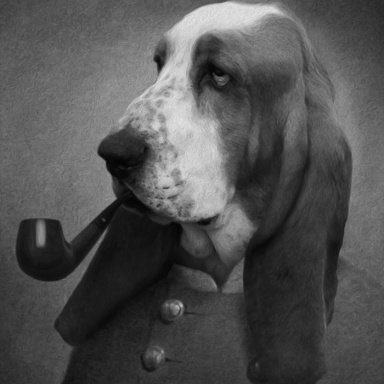 noel56983873's profile picture. Profile picture information: Breed: Basset Hound Dog, Jewelry custom from Ellianté | Basset Hound Fanpage | 100 FOLLOWER CAP