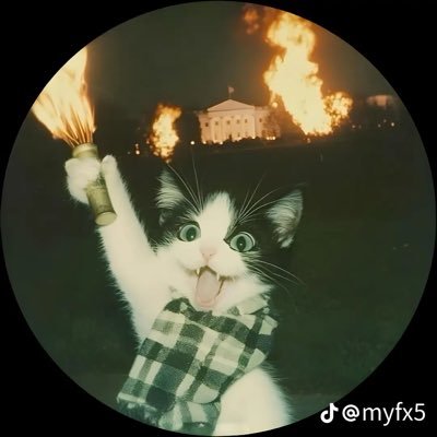 Sakeycat's profile picture. 