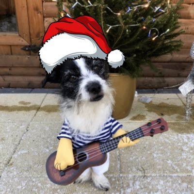 too_tzu's profile picture. Back again, and pyrrhic victories are still pointless.