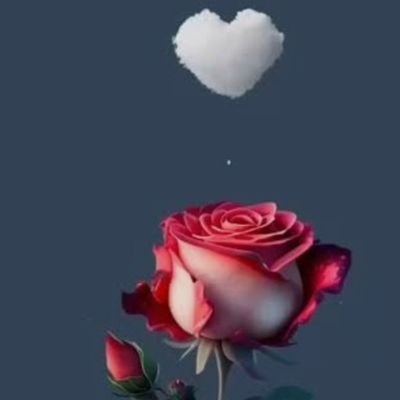 DilbeZehra's profile picture. 