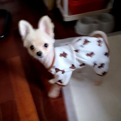 aa0107000's profile picture. 