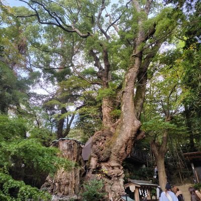 kinshasa0126's profile picture. 野球⚾好き、旅行も写真も好きなオッサン。