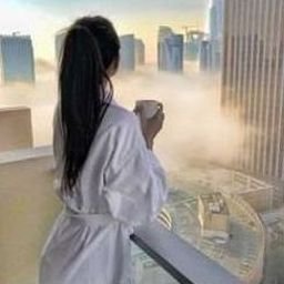 Aceaarfo74013's profile picture. 