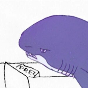 anarcomassista's profile picture. sónico