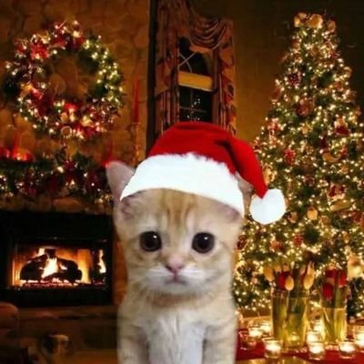 FernandaDuartez's profile picture. 𝚊𝚌𝚒𝚖𝚊 𝚍𝚎 𝚝𝚞𝚍𝚘, 𝚛𝚞𝚋𝚛𝚘-𝚗𝚎𝚐𝚛𝚘! ✊🏿