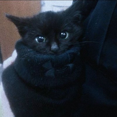 katwwip's profile picture. gd creator 2🛠️ hardest: the paroxysm of rage

anything from before 2025 does not represent me anymore 
DNI if you support trump or Israel. 

@kallical_ 💖