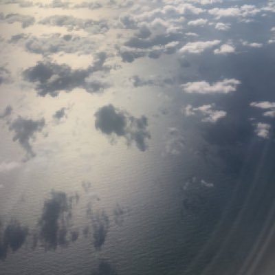 grupo4l's profile picture. entretenimiento