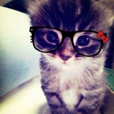 kalinewsa's profile picture. eii kkkk faz um favor? kkkkkkkkkkkkkkk🤭 bai se fuder porra vai tomar no teu cu seu inutil do caralho imbecil kkk zoas 😌🥱#Fodassegeral @linebjos