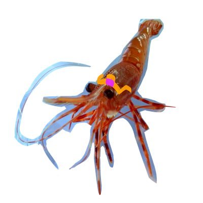 ChiperThe13785's profile picture. 