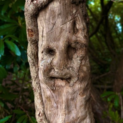 DavidJambo48286's profile picture. Intelligence is key