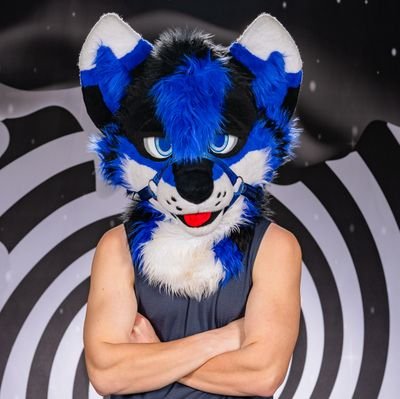 Lapisthehusky's profile picture. Husky -  he/him - loves the outdoors, especially in the winter   - taken 💜 - 21