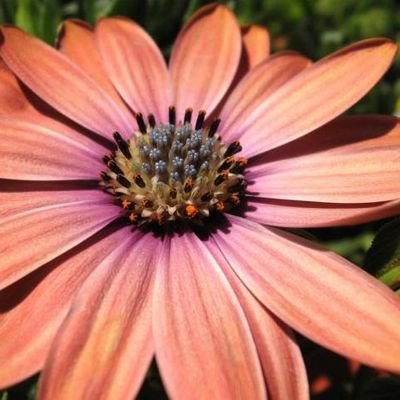 rjg744's profile picture. Things Happen For A  Reason ♡...