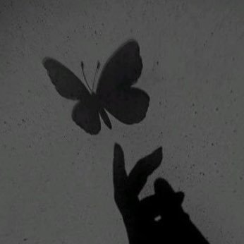 n_sia1's profile picture. 🍉🍉 || geminitay + jumperwho + princezam enjoyer !! || lstwt | traffictwt | free 🇵🇸🇵🇸