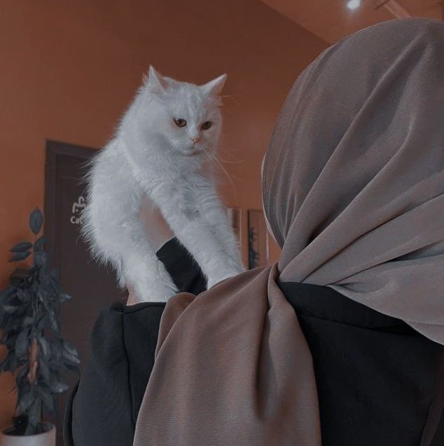 Rayyancs18's profile picture. 