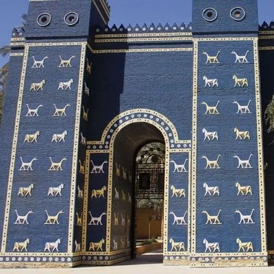 ywsflsdy8's profile picture. 