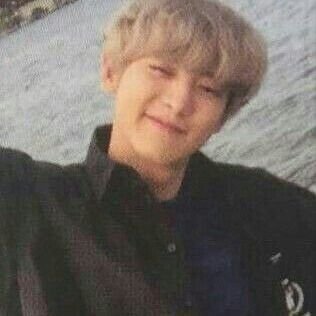 bsscbx's profile picture. chanbaek au omegaverse buscar