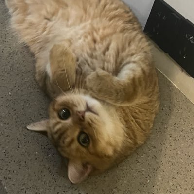 recludds's profile picture. 主业原画设计，业余摄影，喜欢奶子。有愿意拍跳舞抖音风定制视频的小姐姐请私信我。