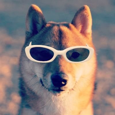 Orchestral_Froz's profile picture. ななみずき単推し
たまにダーツしてます。
空中多め