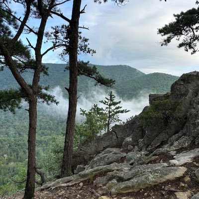 TheParticularD's profile picture. Founder of @TheParticularB | Christ follower | Married to @Dnvincent1989