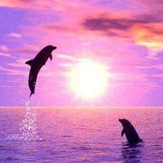 lesleywatkin121's profile picture. 