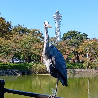 YyknHjRdMc63156's profile picture. 