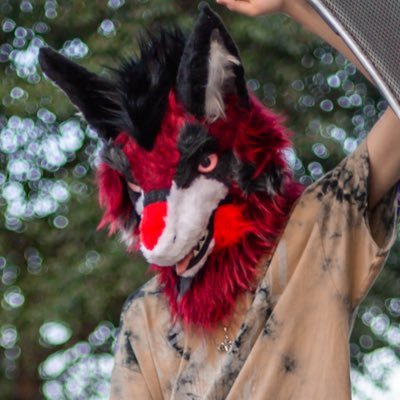 softsergal's profile picture. MDNI 🔞 / spicy spicy sergal~ / 19 / taken / AD of @exxpatriot