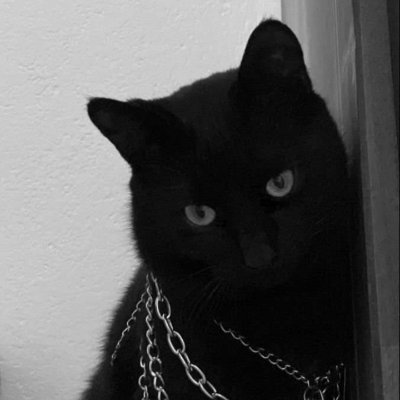 Johnso62046Jona's profile picture. Spooky wife and mom🖤🐈‍⬛
Patriot ❤️🤍💙