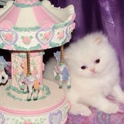 TMTR97's profile picture. お取引アカウント（｡･ω･｡）ツイフィ任意です🍒⭐️