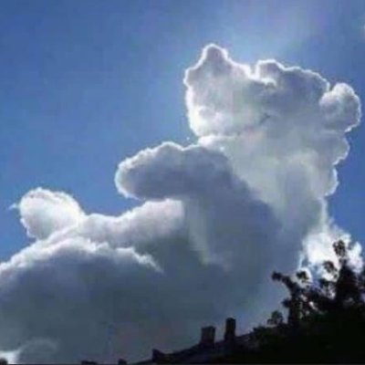 ShirefindsValue's profile picture. Long/Short investing. I write about cheap stocks.