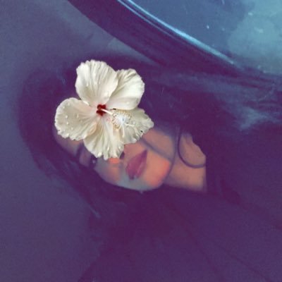 itraghdm's profile picture. 