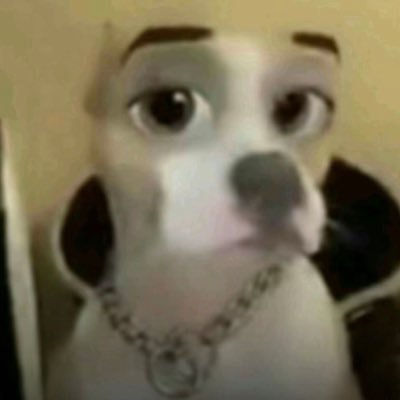 lxwkeyy12's profile picture. 