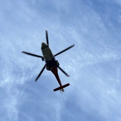 113612_jp's profile picture. ローマは1日にしてならず