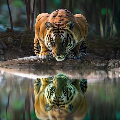 SlamaJamma2's profile picture. 44