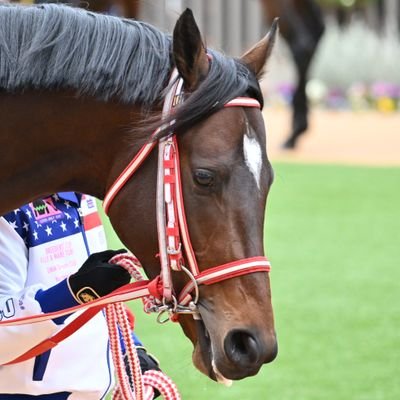 0623umanom's profile picture. 馬用アカウント作ってみたよ。 画像とハズレ馬券と一口愛馬の親バカな叫びを垂れ流すよ。 nikon Z9+Z100-400 バヌ民 
出資は固定表示にて。 
移籍ヘヴンズクライ　引退ロッソヴィーノ
 一口ずつ出資する一口馬主
 他のツイートはこっちじゃ @0623photonom