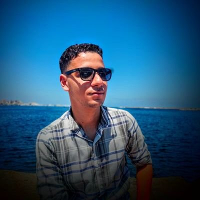 mahmoud3ala7031's profile picture. 