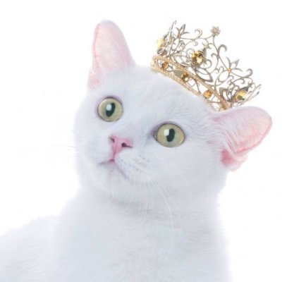 davidlc9113's profile picture. ダビド