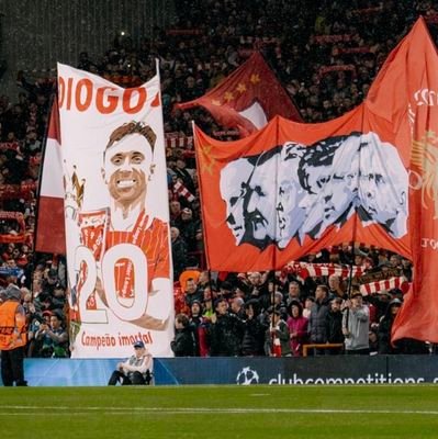 mattyjm2001's profile picture. LFC🔴