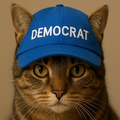 DemTabby's profile picture. Just your regular old tabby cat from the shelter who hates MAGA.